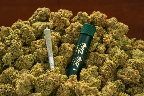 Dogwalkers Pre-Rolls - BIG DOG